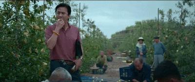 怎么能买到正宗的洛川苹果,教你挑苹果