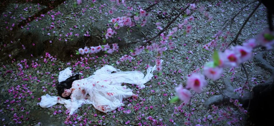 枕上书凤九凡间跳崖片段,枕上书凤九跳崖时说的话