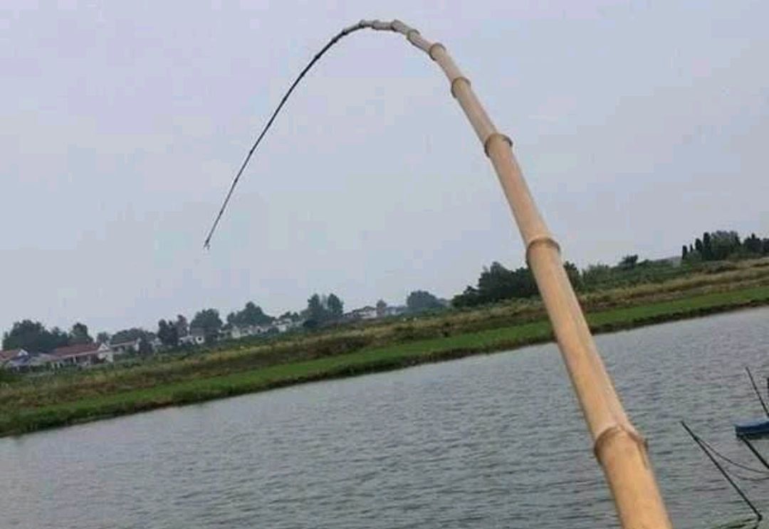 儿时的记忆老物件,80年代老物件渔具