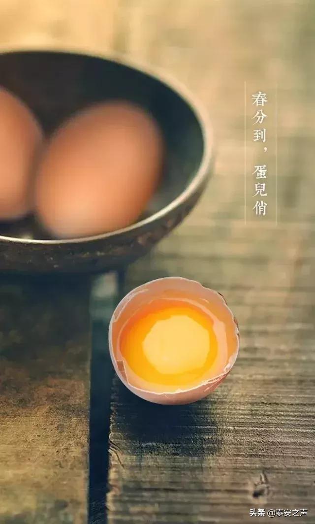 今日春分不负春光万物可期,今日春分莫负春光