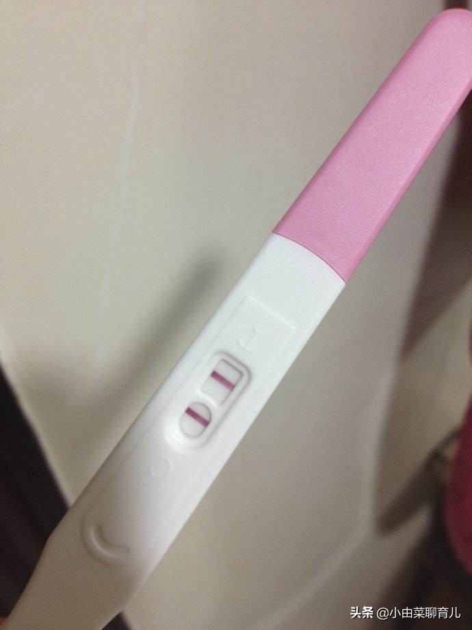 怎么查自己是否怀孕？学到知识，早日当上中队长！