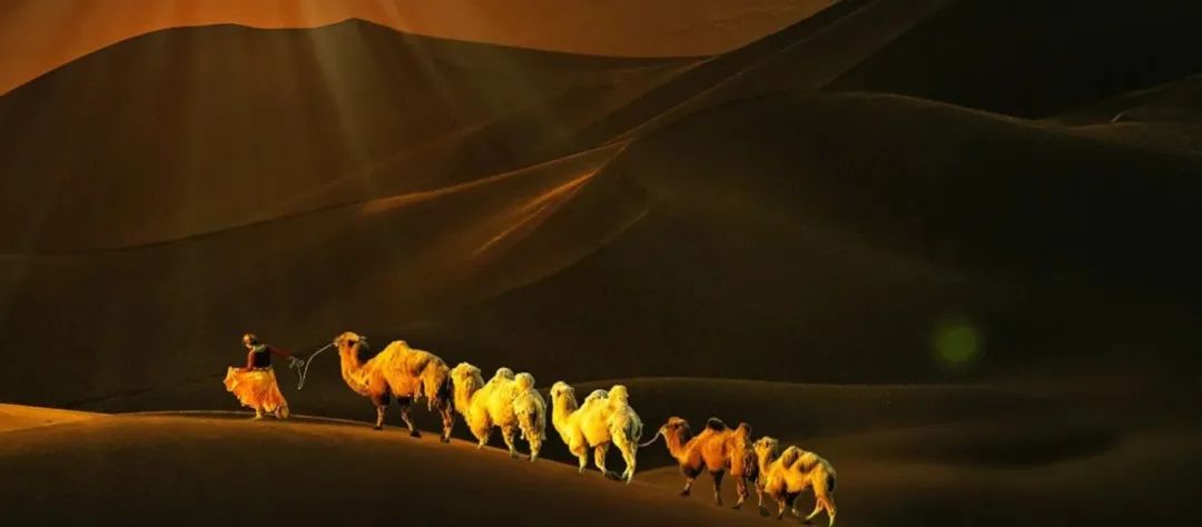 象数思维教学,象数思维教学视频