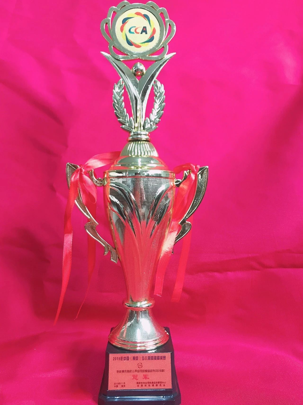 名校力量|她是琅小跨江发展第一校