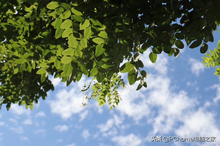 佳能canoneos200dii二代参数,佳能eos200d2ii二代入门级单反