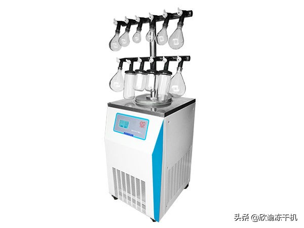t型真空冷冻干燥机,实验室真空冷冻干燥机生产