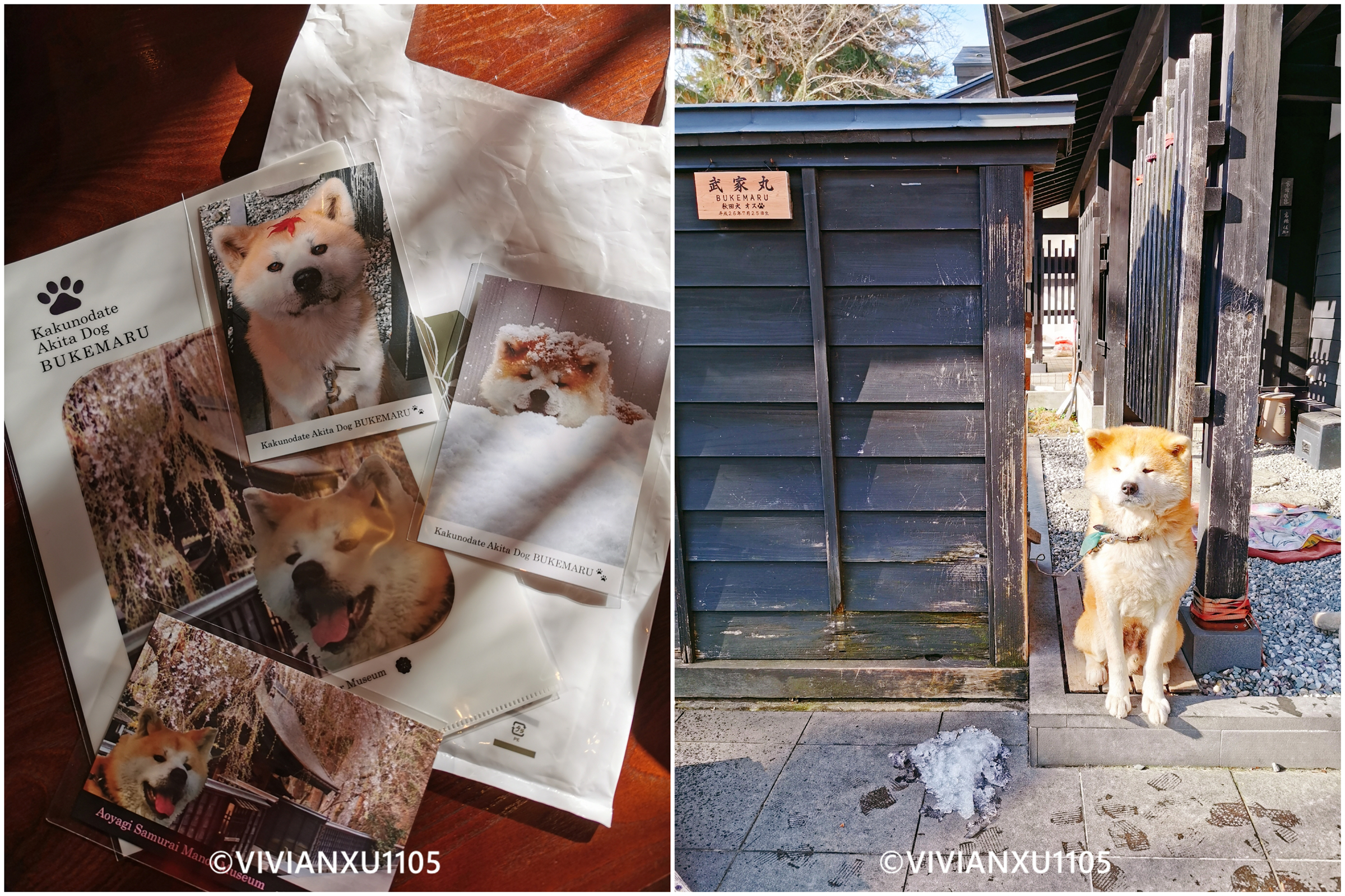 塑料母女日本东北深度游(秋田山形)