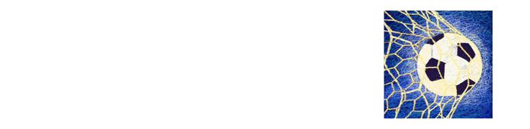 卓尔鲁能足协杯,鲁能卓尔比赛