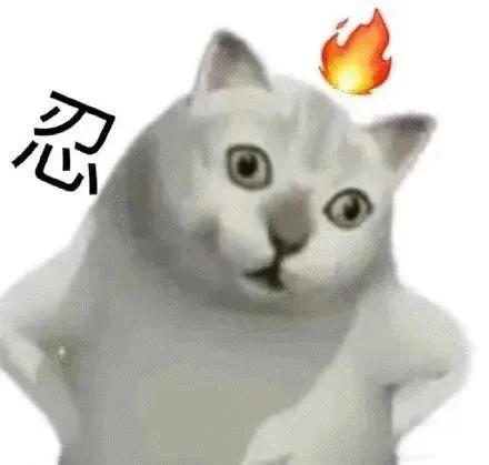 吐舌头的猫是有病吗,吐舌头的喵星人