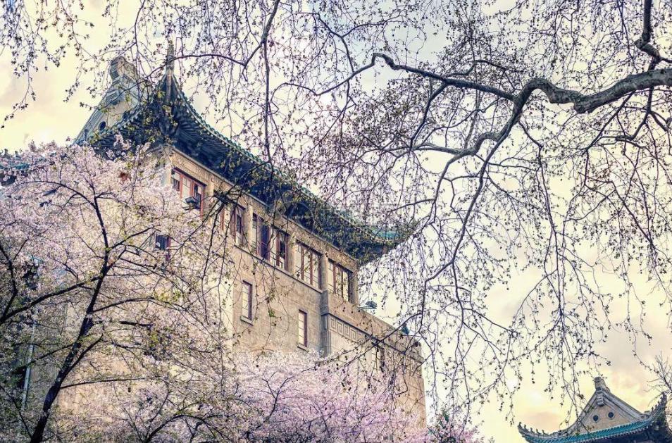 口腔医学专业未来就业如何,口腔医学专业的前景