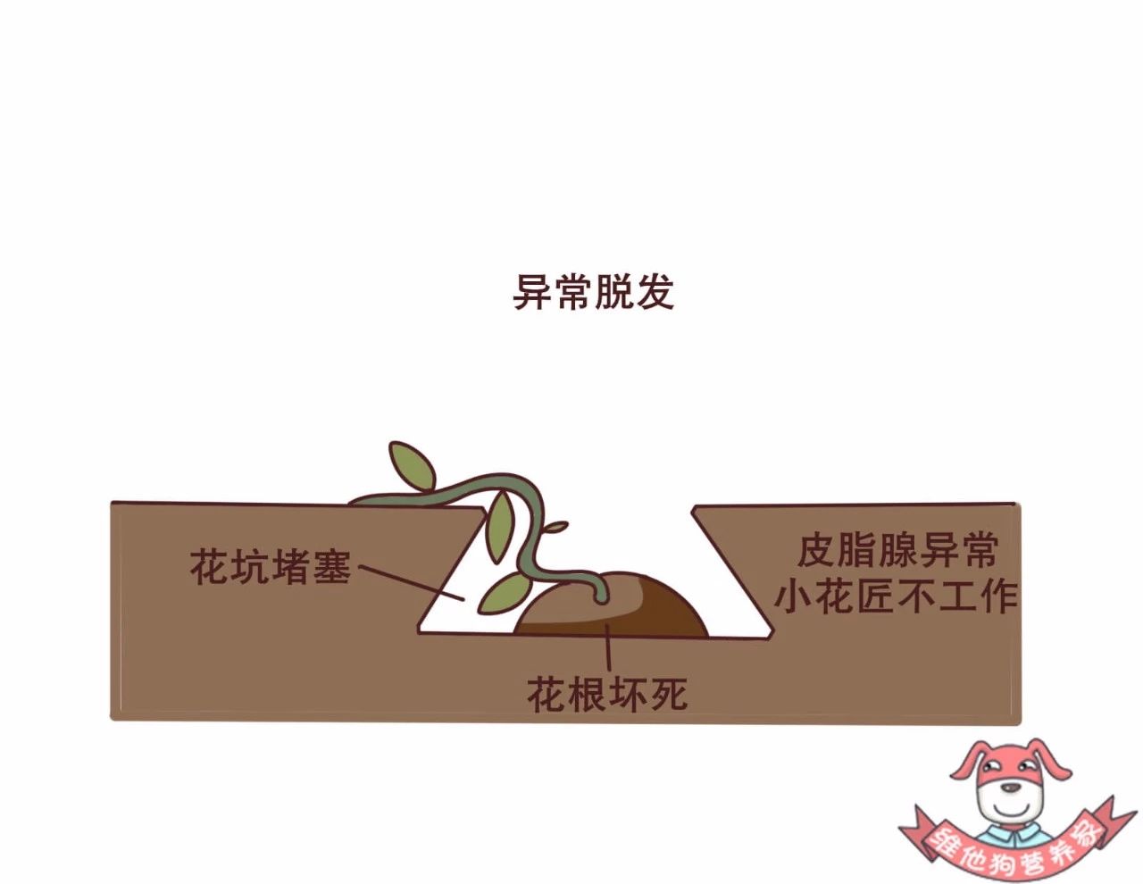 史上最强防脱发指南,脱发严重这个防脱发妙招很好用