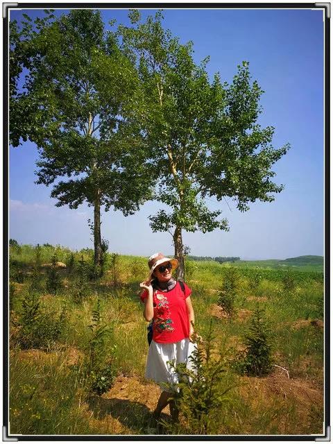 中国的66号公路图,中国的66号公路具体路线在哪里