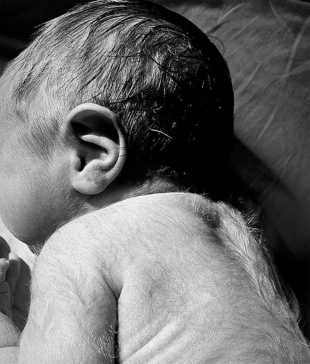 新生儿为什么那么难照顾,刚出生的婴儿脱发正常吗