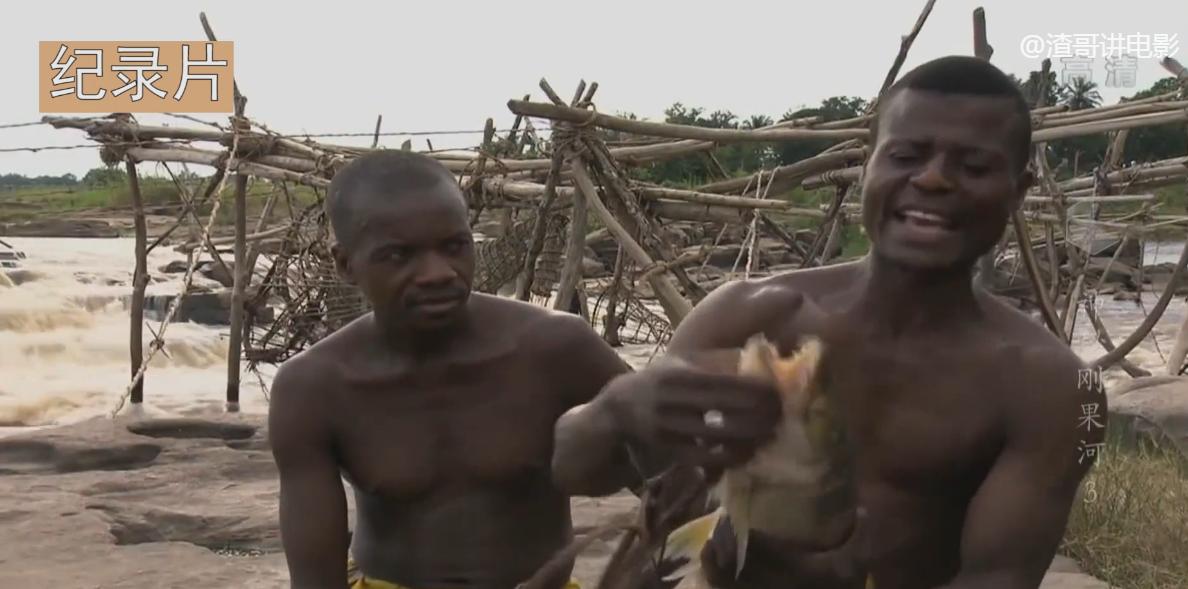 刚果河上捕鱼纪录片,刚果捕鱼人纪录片