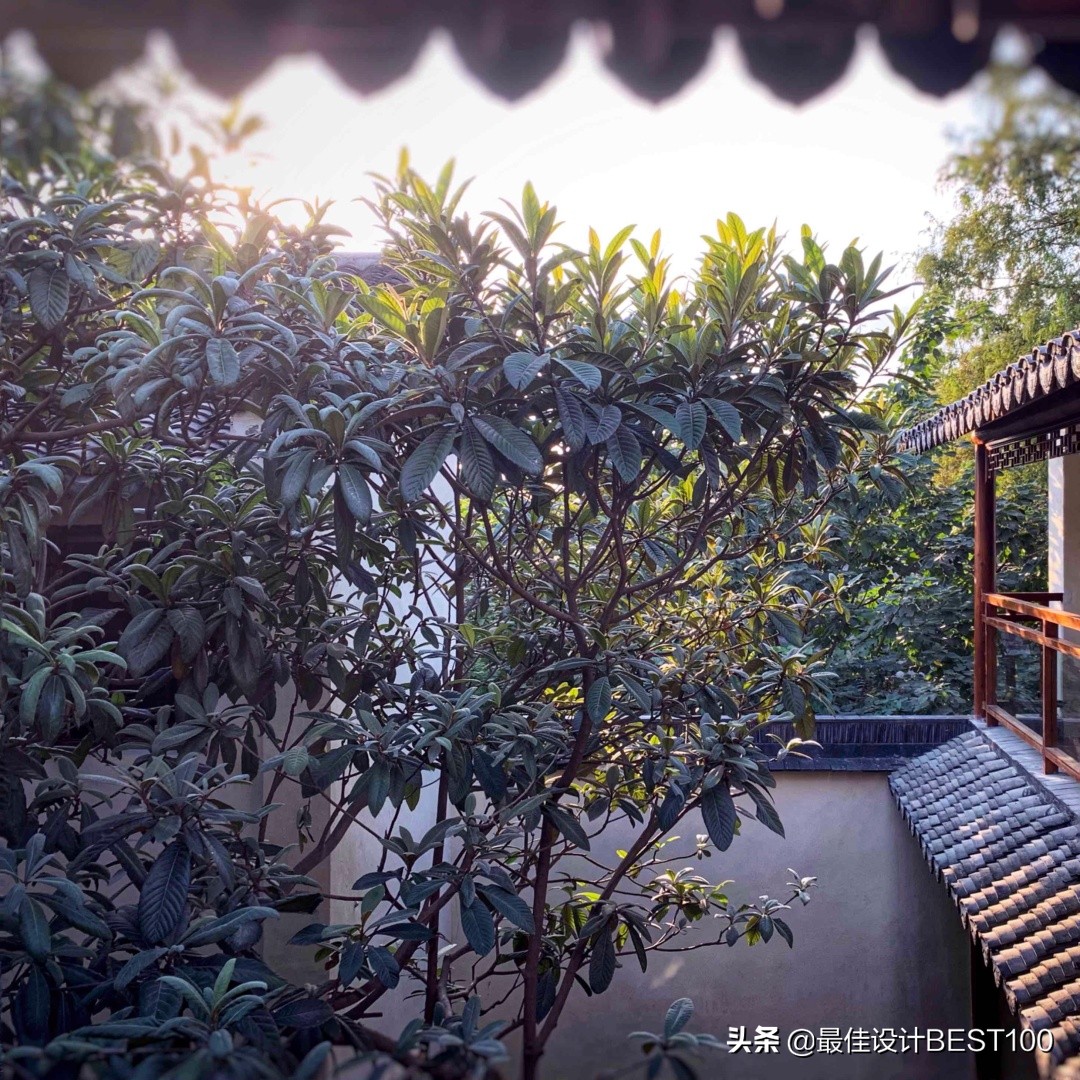 新作|住在江南水乡最美的一幅画卷里xSSTDesign