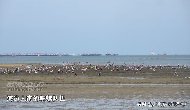人为什么不习惯潮湿的环境,暴雨天住海景房是什么体验