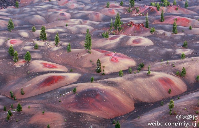 自驾加州的感受 (加州自驾需要准备什么物品呢)