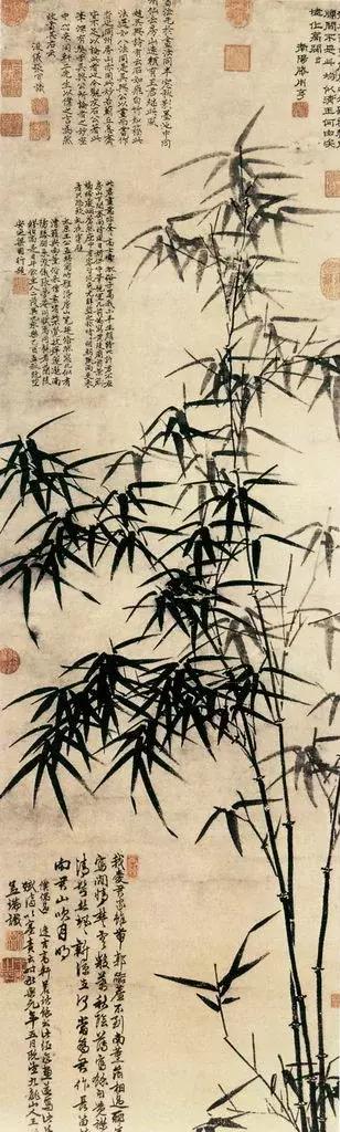 郑板桥画的是什么品种竹子,郑板桥画的横幅竹子