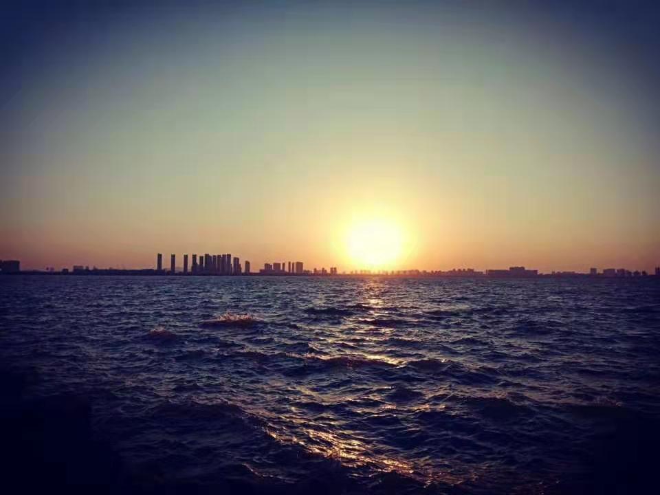 关于大便和金钱的关系——心理学思考