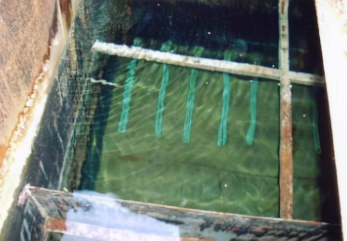 德国特拉多姆代理,德国特拉多姆有限公司