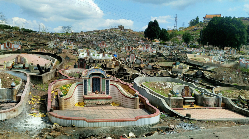 台湾槟榔西施可以干吗,台湾槟榔西施真实生活