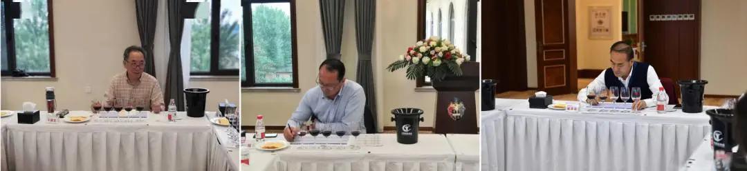 尼雅葡萄酒2015,尼雅葡萄酒对比进口葡萄酒