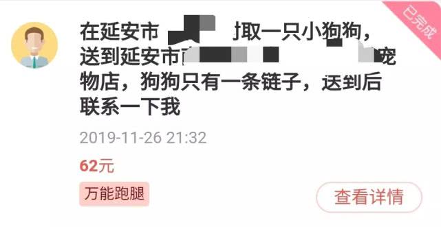 邻趣跑腿福州,邻趣跑腿中国有多少骑手