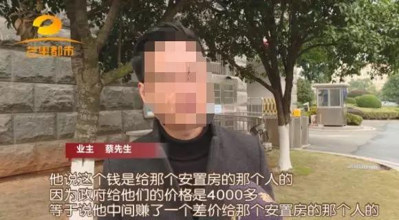 千年老树开新花,千年老树开红花