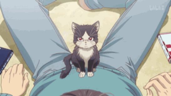 最萌新番,豆瓣8.8最佳纪录片女主