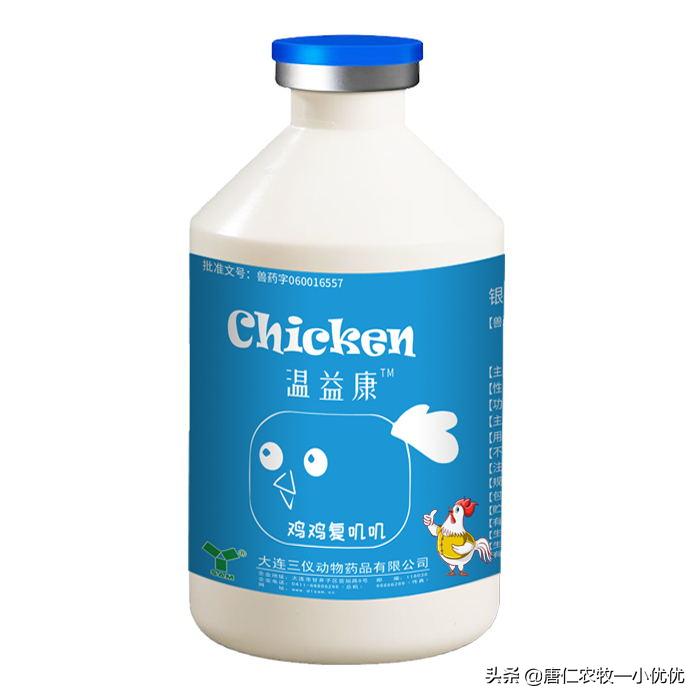 肉鸡不吃料怎么解决,七天小肉鸡光喝水不吃料