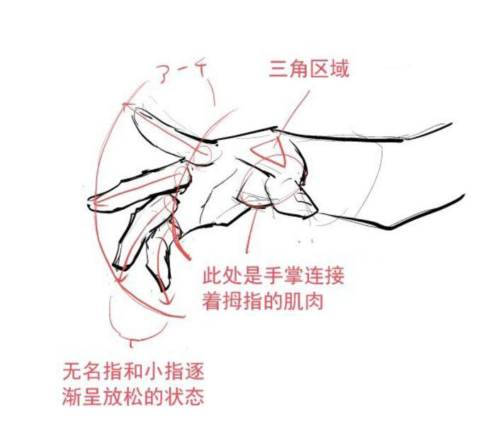 画动漫人物女生的手部教程,动漫人物的手怎么画简单又漂亮