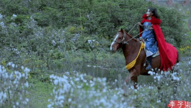 李子柒进驻视频号，热度不敌素人：短视频赛道，暗藏着巨大红利