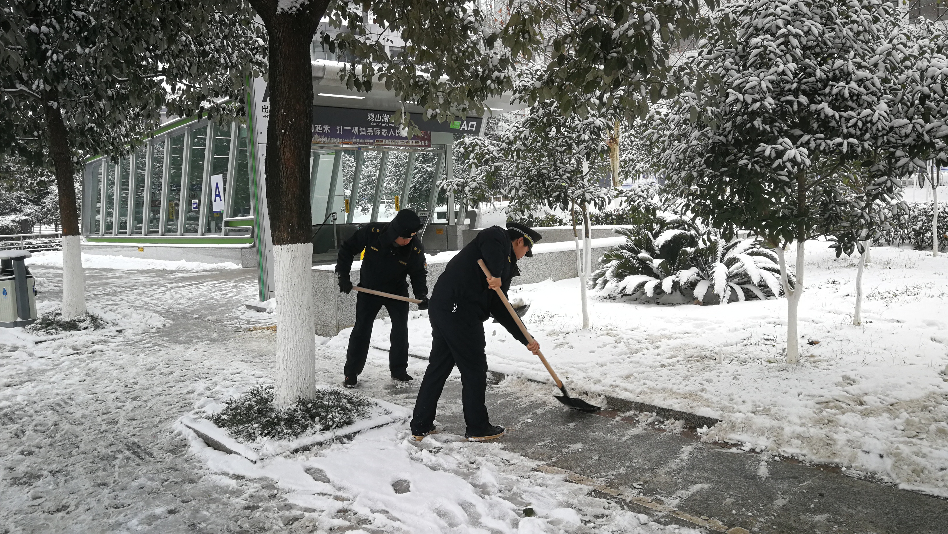 金华园社区的雪中送“暖”记
