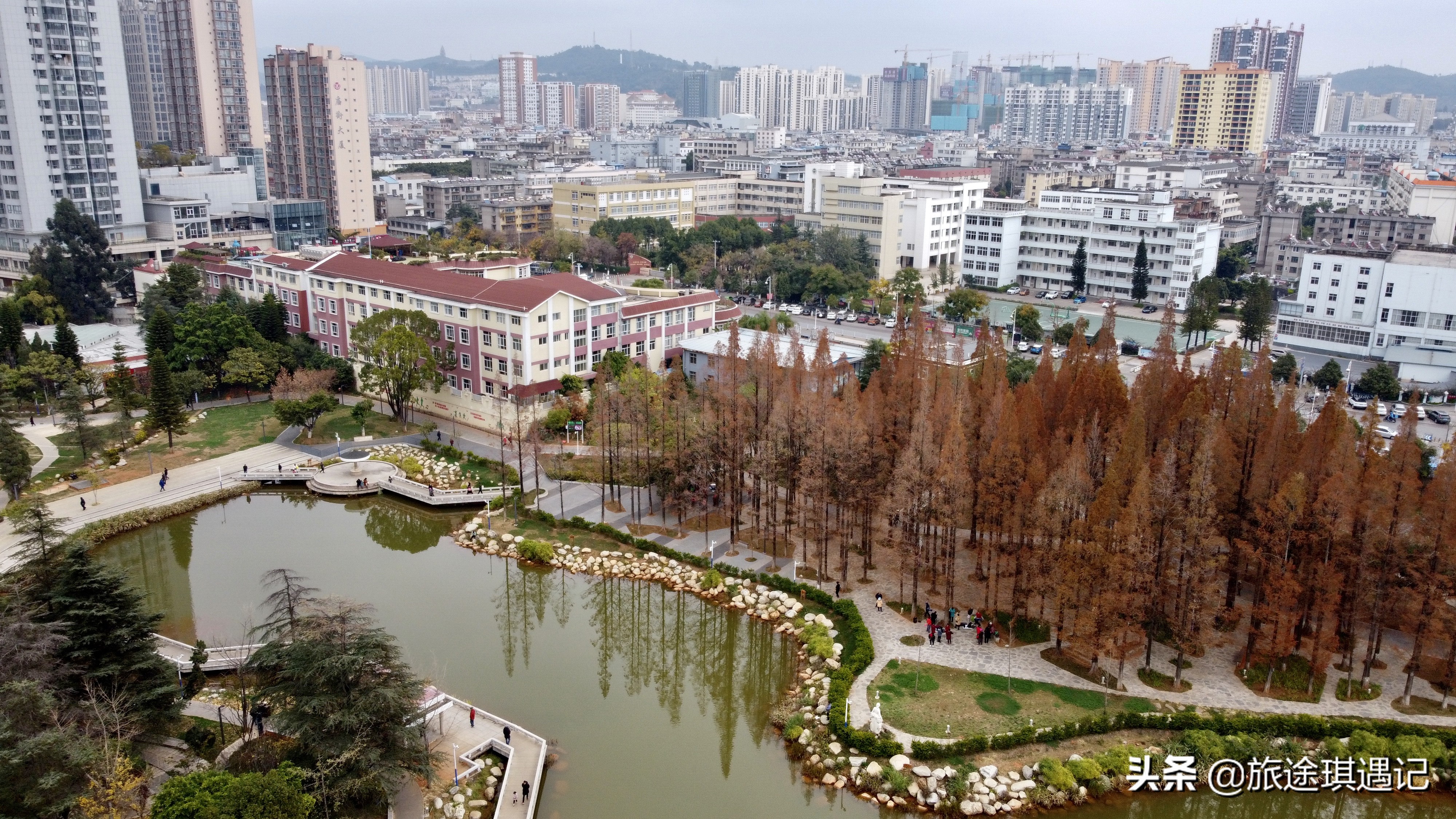 红塔山的烟都有什么种类,云南红塔山烟历史