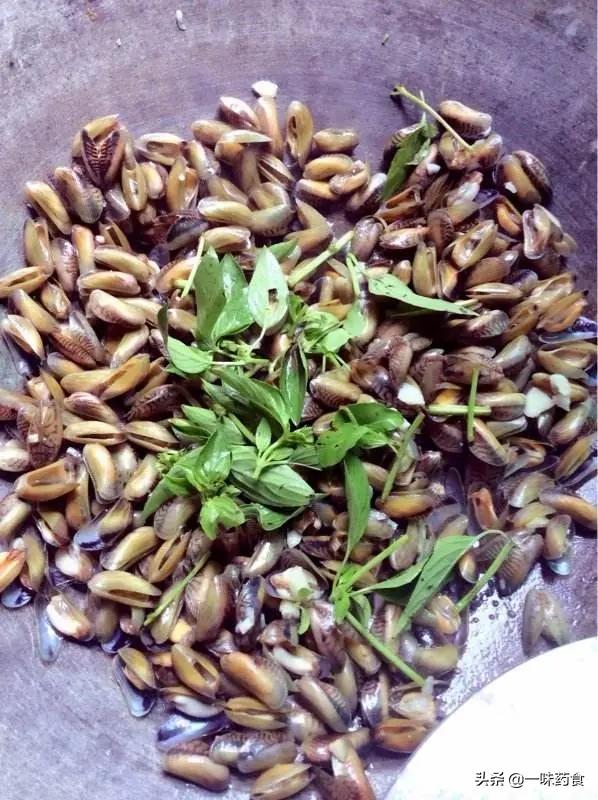 九层塔金不换是什么菜,九层塔是不是又叫金不换