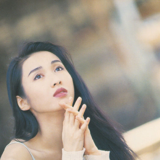 香港最漂亮的十大美女现在的样子,公认最美的香港美女