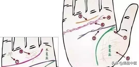 手诊图大全清晰图手背,全息手诊图