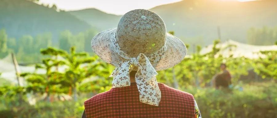 张仲景治好抑郁症方子,后浪中医经典励志语录