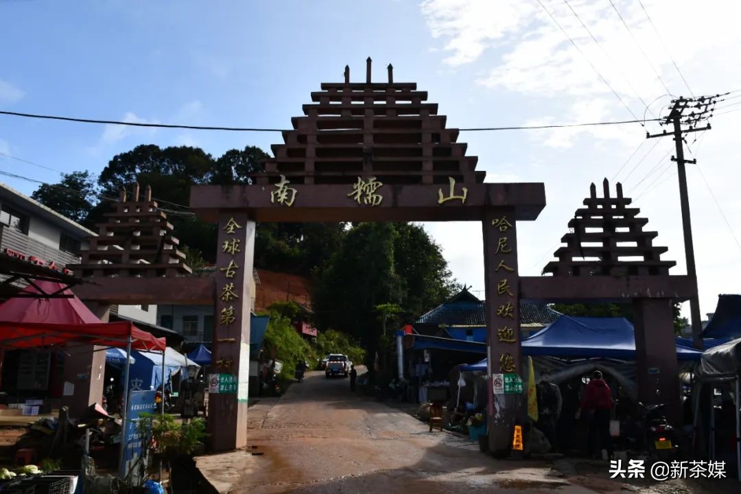 南糯山普洱茶与景迈茶,景迈和南糯山哪个好