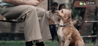 谢谢你治好了我的心脏,谢谢你治好了我的低血压