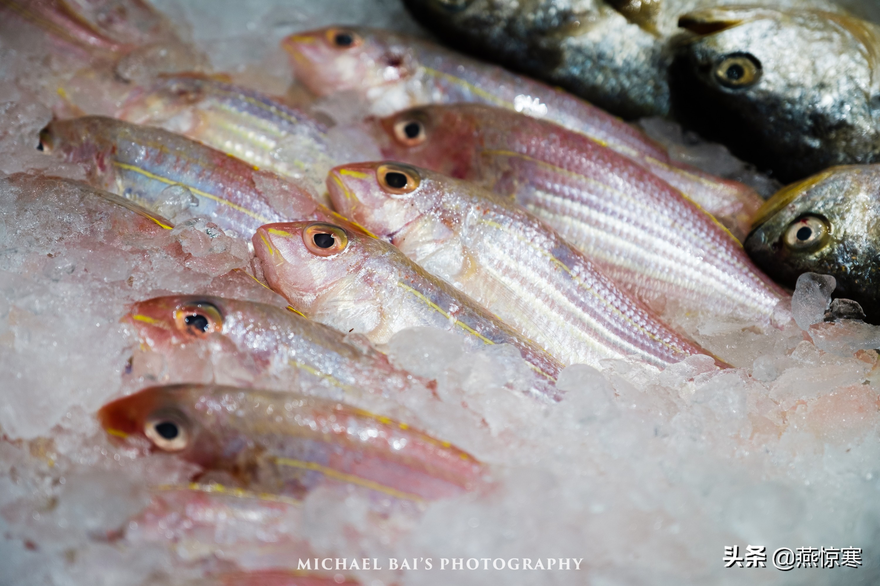 6000元相机加镜头推荐富士,富士相机用什么镜头比较好