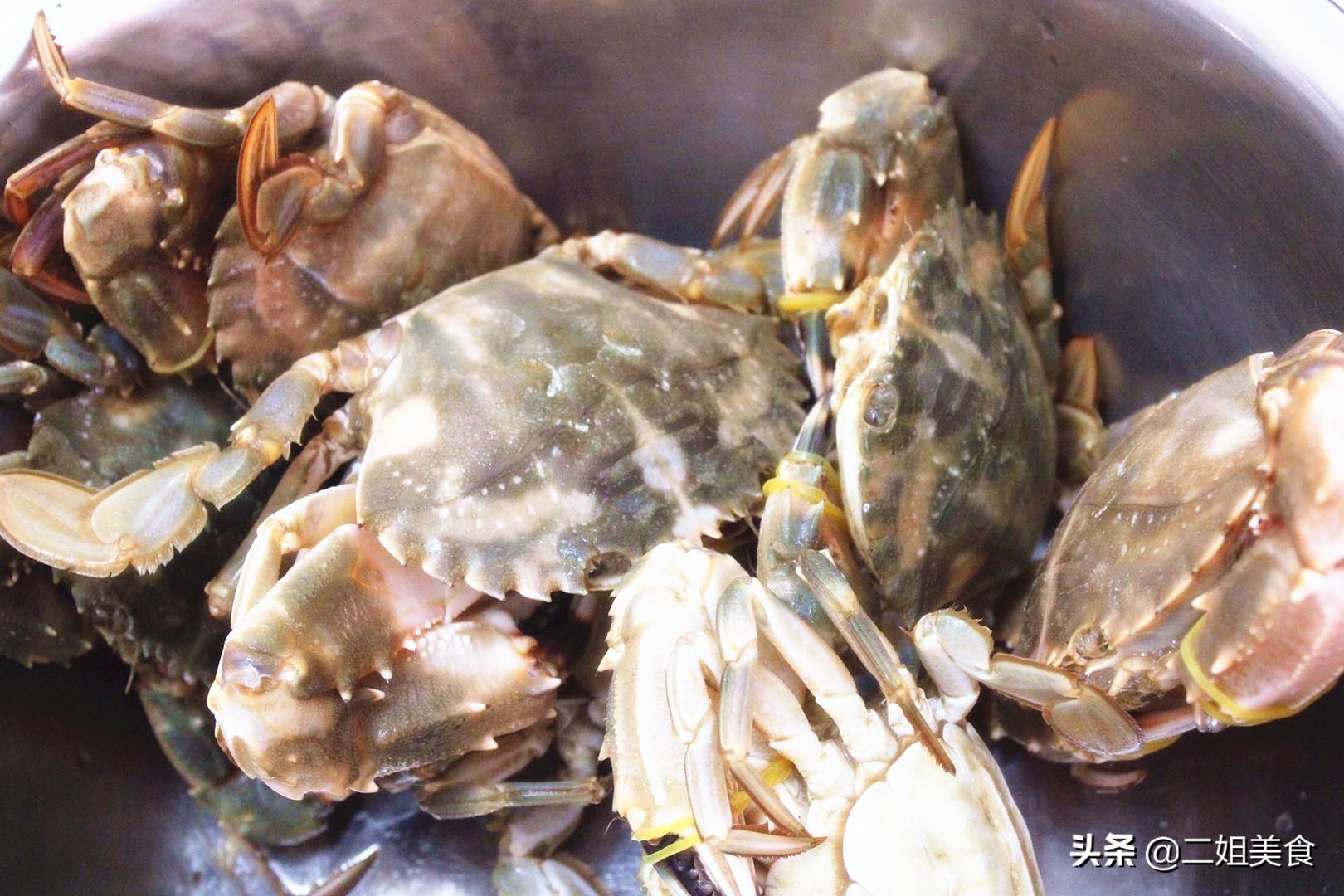 螃蟹买黄色的好还是买青的好,买螃蟹需要注意什么怎么选