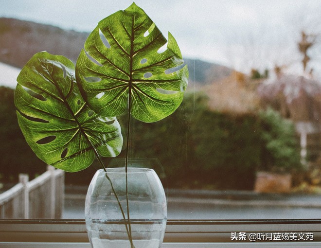 惟愿时光静好余生浅笑安然的图片,惟愿时光静好余生浅笑安然配乐