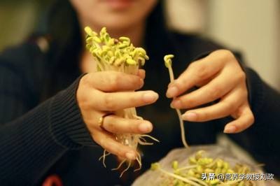 谷雨时节吃黄豆芽的好处,春季多吃黄豆芽