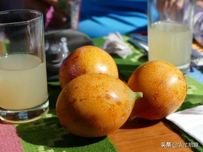 “换”颜色就卖高价，一斤94元，果内都是籽，农民：不敢种