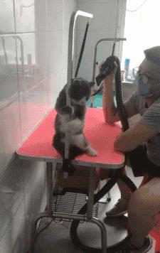 瀹夊叏鏂归潰榧犳爣,浣犲畨鍏ㄥ悧鍚屾榧犳爣