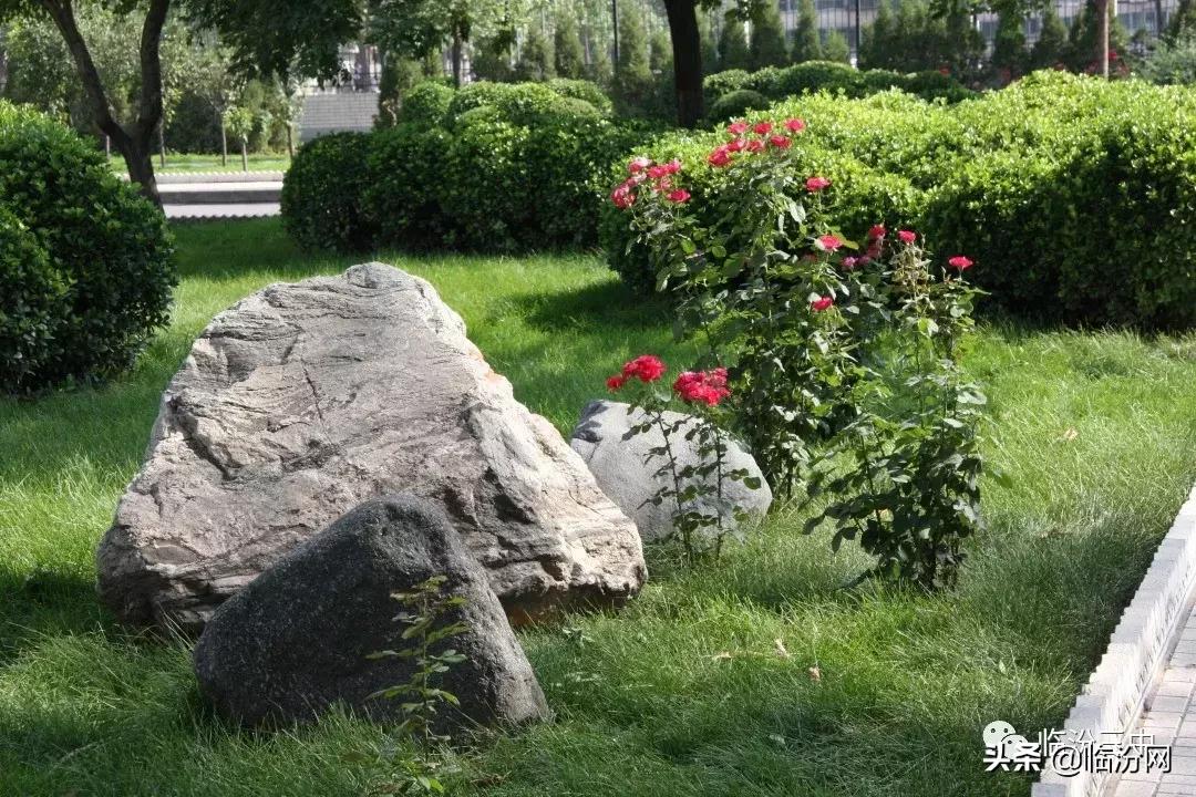 2019年临汾三中高考成绩,临汾一中高考喜报2021