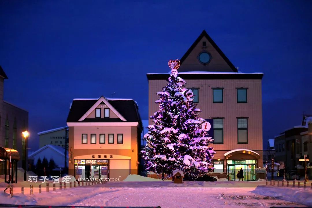 老实说，这一趟北海道就是为了拍好看的照片去的