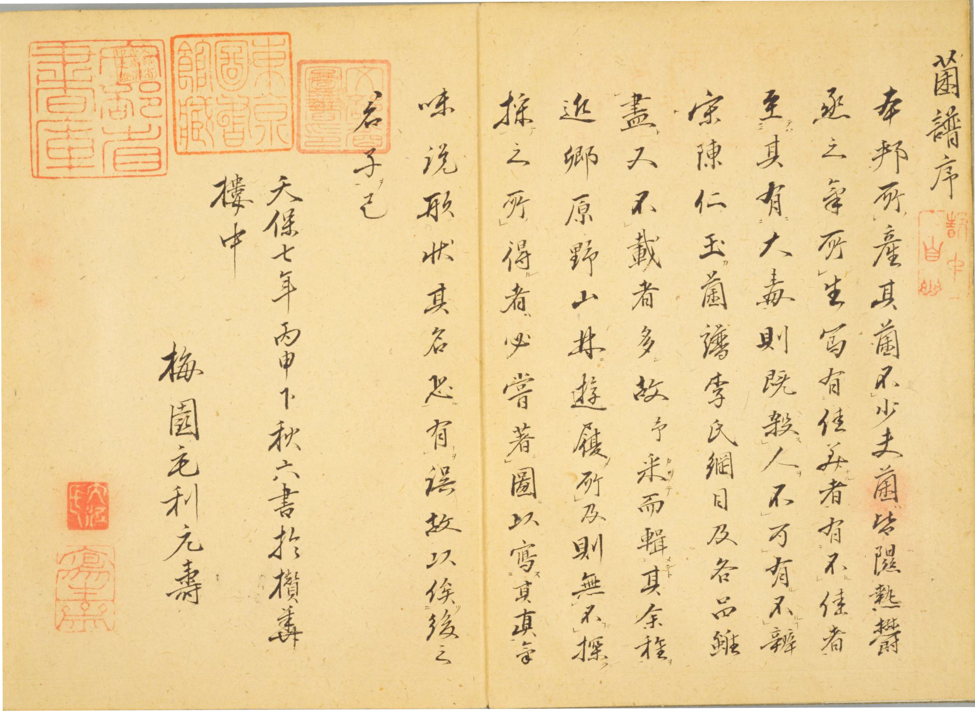 各种多彩菌图片大全,意式野菌图片大全