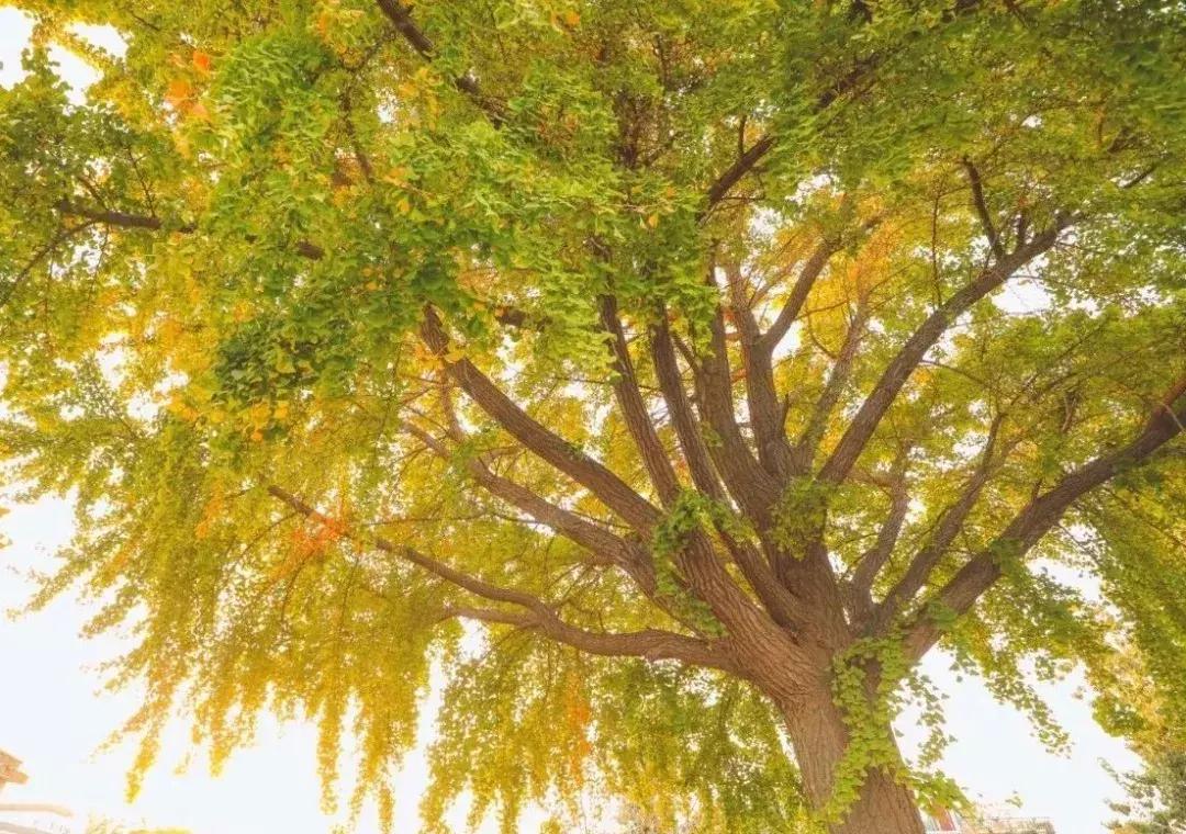 超多绝佳拍照景点,不用挤的景区