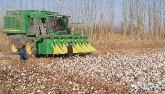 新疆南疆第一区阿拉尔地区,阿拉尔南疆重镇